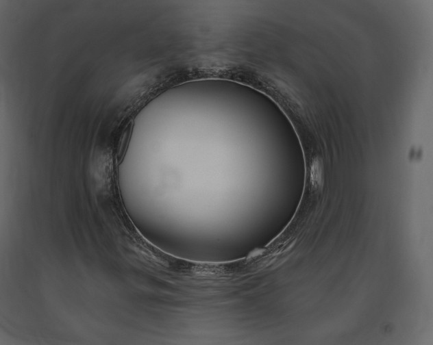 X0000091171299200708231456