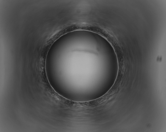 X0000091171301200708231456