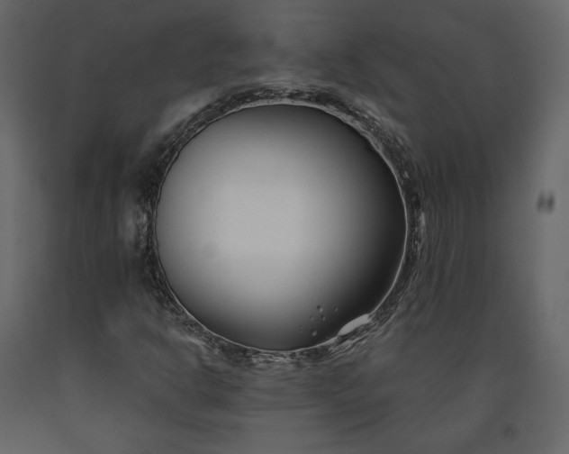 X0000091171302200708231456