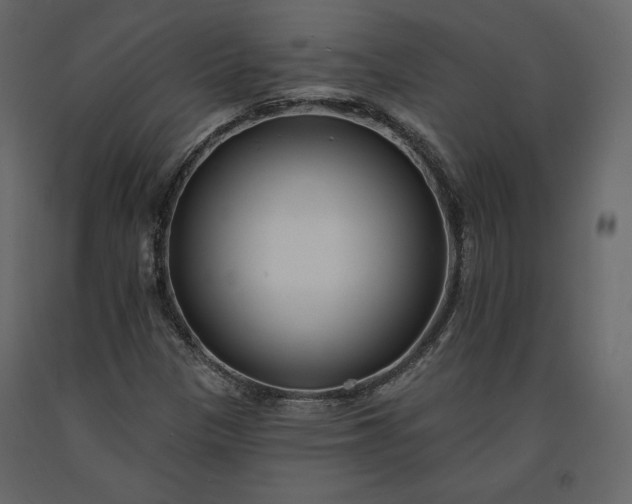 X0000091171305200708231456