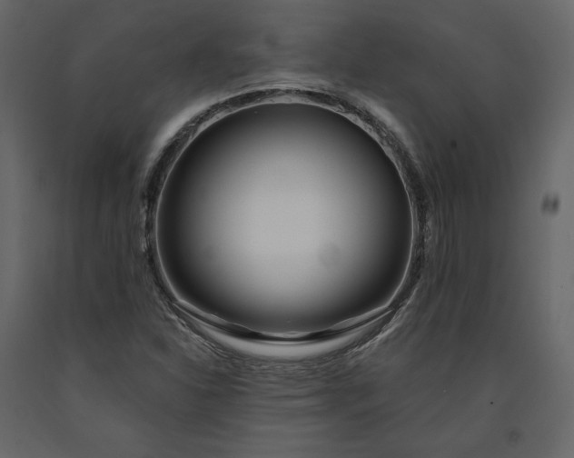 X0000091171310200708231456