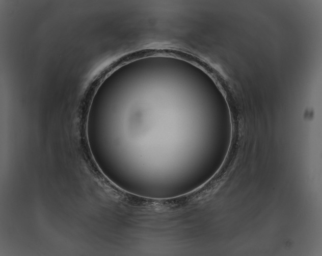 X0000091171311200708231456