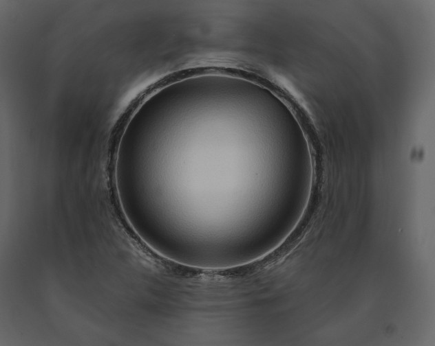 X0000091171312200708231456