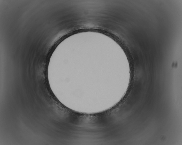 X0000091171314200708231456