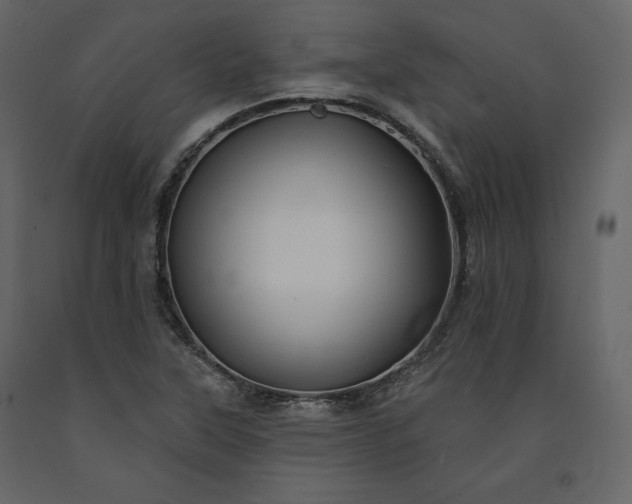 X0000091171315200708231456