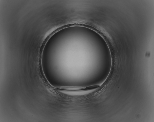 X0000091171316200708231456