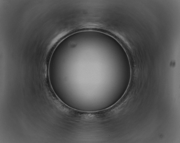 X0000091171317200708231456