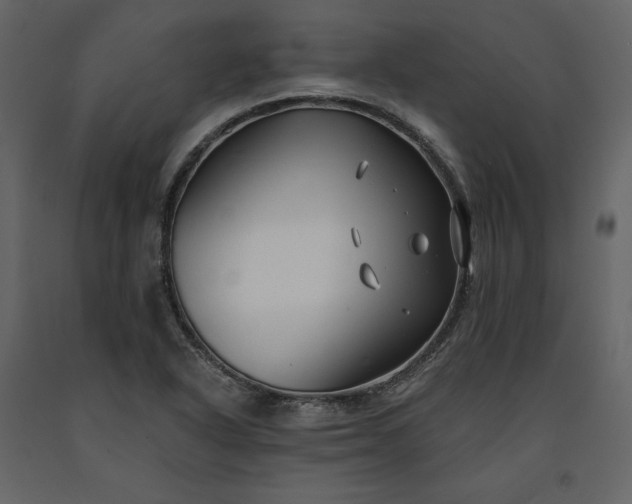 X0000091171318200708231456