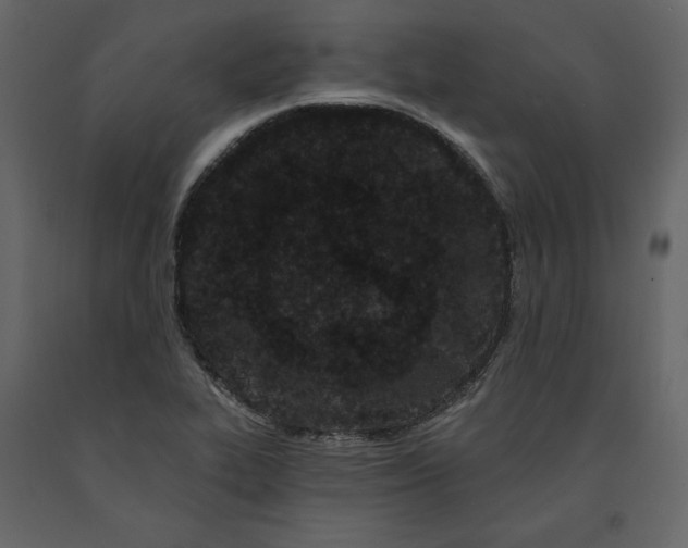 X0000091171319200708231456