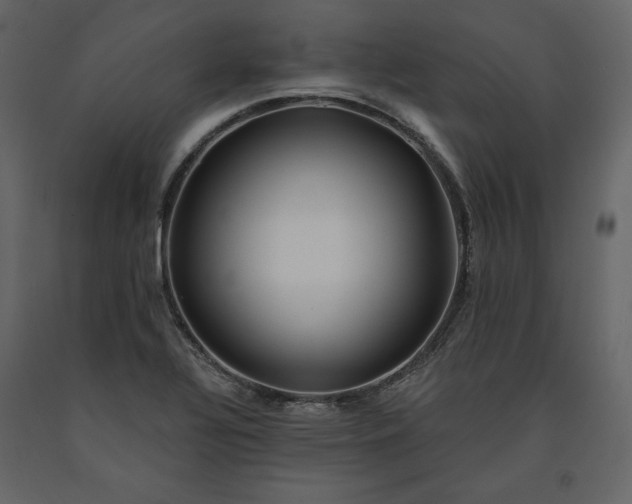 X0000091171320200708231456