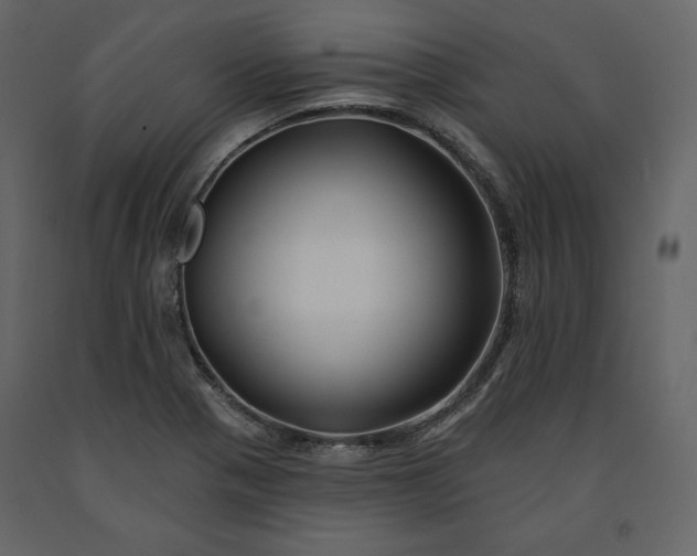 X0000091171321200708231456