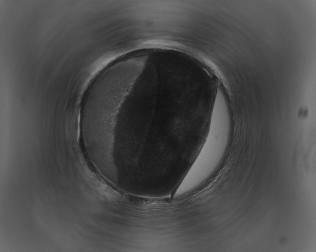 X0000091171323200708231456