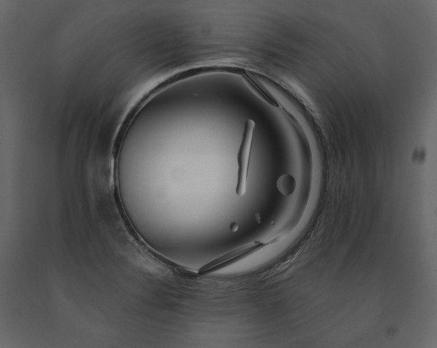 X0000091171324200708231456