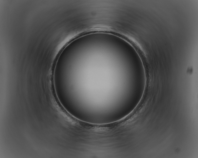 X0000091171325200708231456