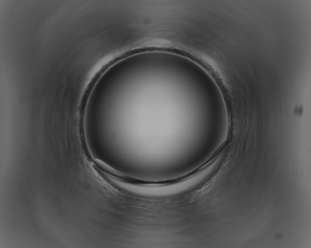 X0000091171326200708231456