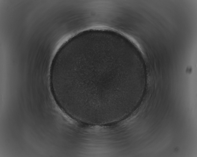 X0000091171327200708231456