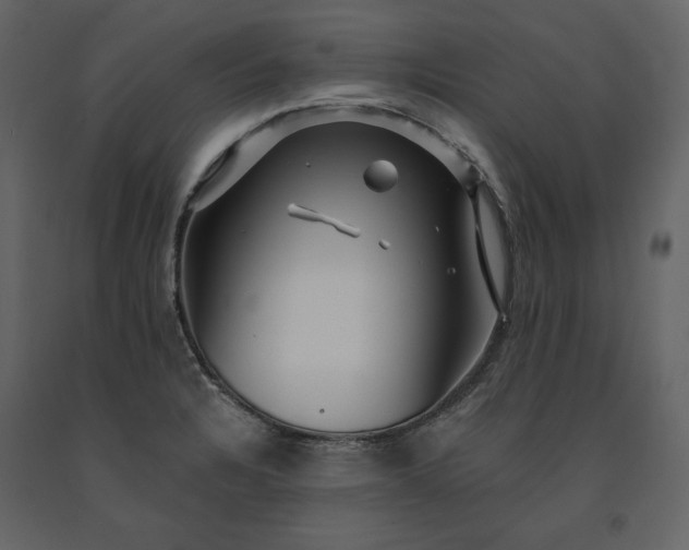 X0000091171328200708231456