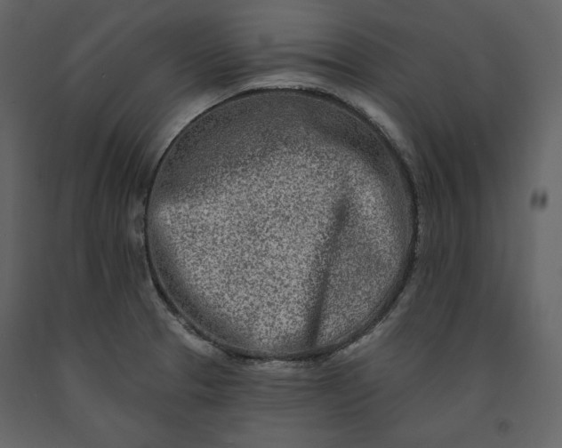 X0000091171329200708231456
