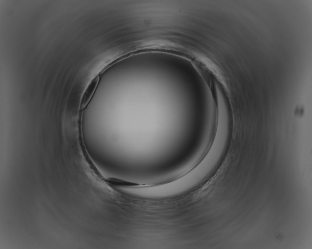 X0000091171330200708231456