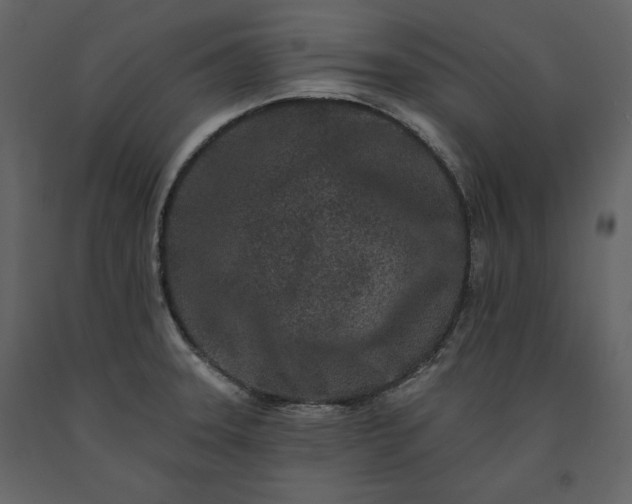 X0000091171331200708231456