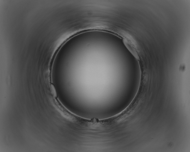 X0000091171332200708231456