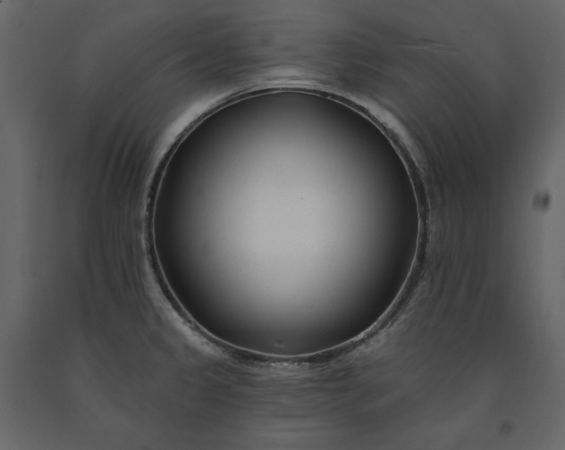 X0000091171333200708231456