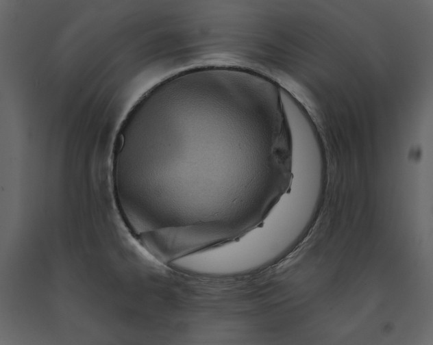 X0000091171334200708231456