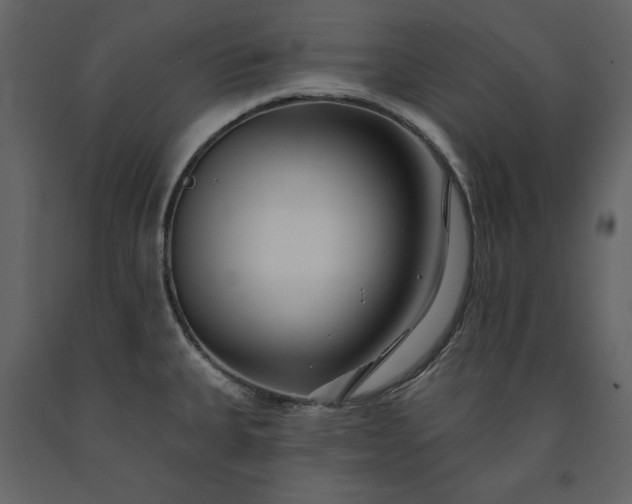 X0000091171335200708231456