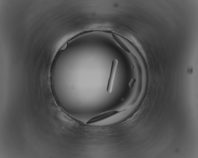 X0000091171336200708231456