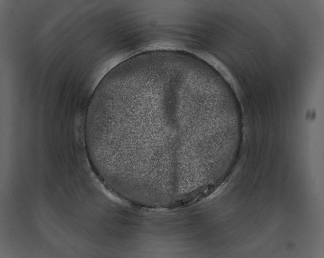 X0000091171337200708231456