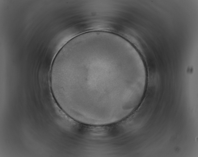 X0000091171338200708231456