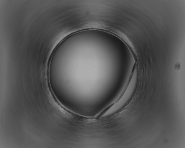 X0000091171339200708231456