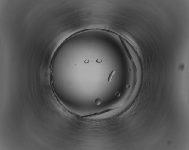 X0000091171340200708231456