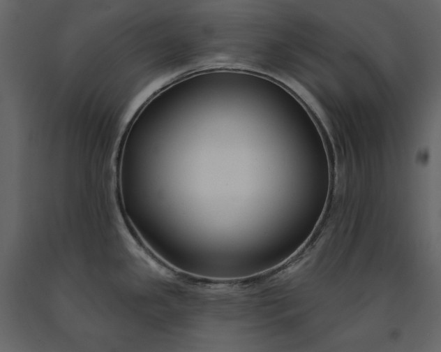 X0000091171341200708231456