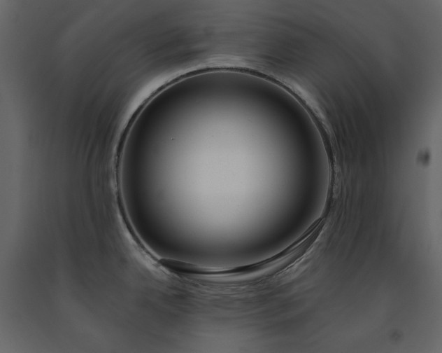 X0000091171342200708231456