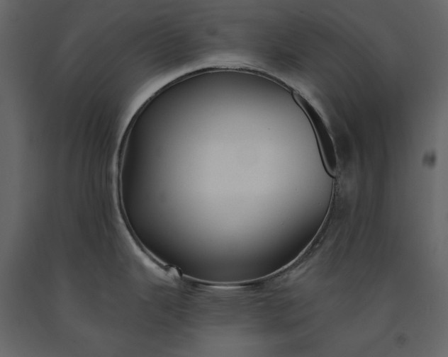 X0000091171343200708231456