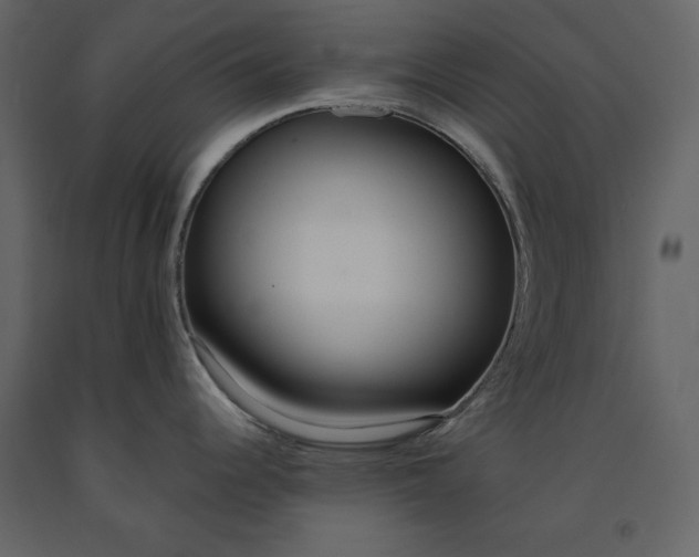 X0000091171344200708231456