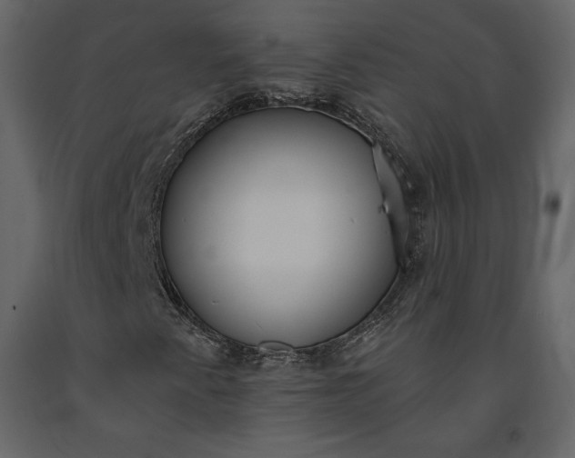 X0000091171345200708231456