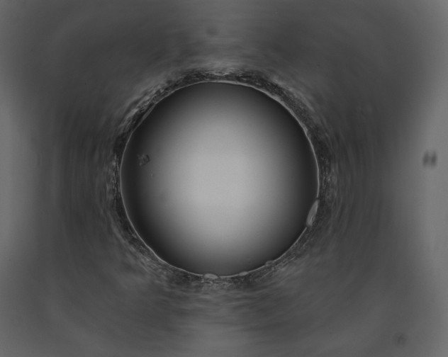 X0000091171349200708231455