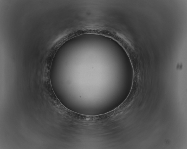 X0000091171350200708231455