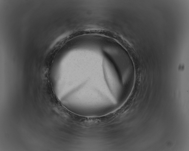 X0000091171351200708231455