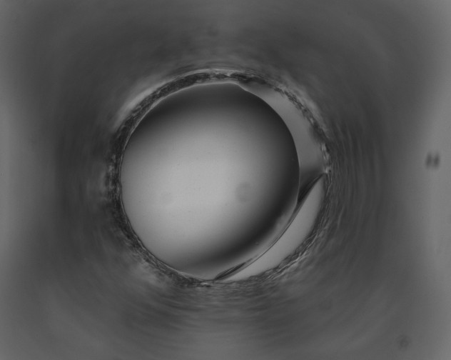 X0000091171352200708231455