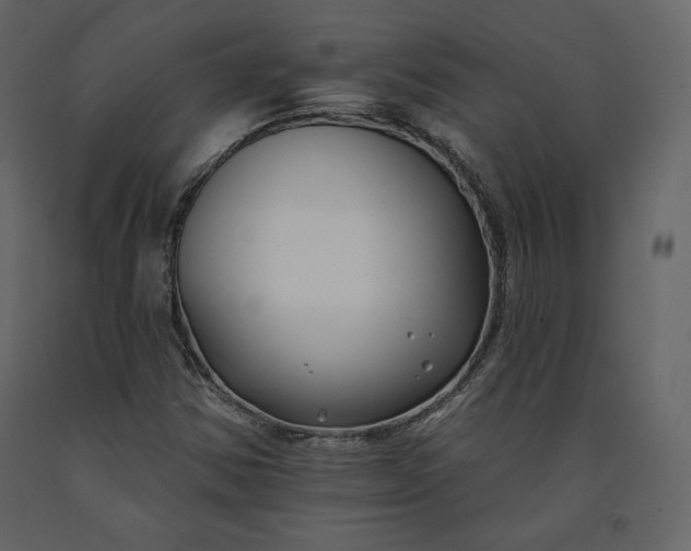 X0000091171354200708231455