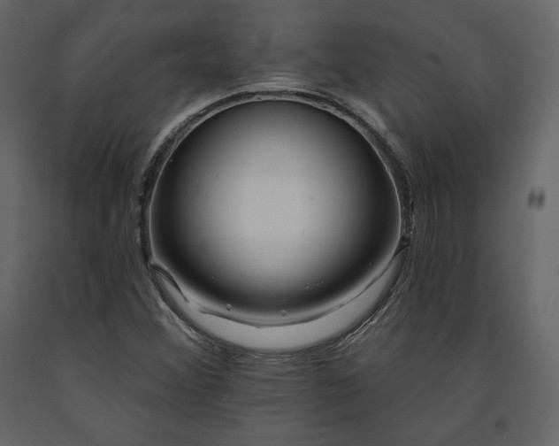 X0000091171356200708231455