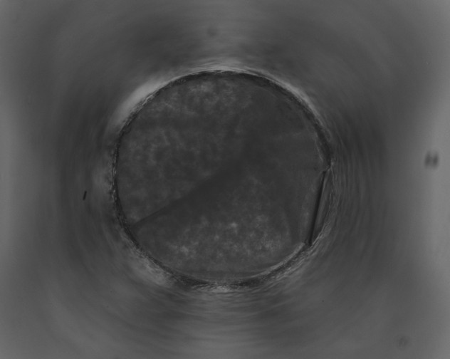 X0000091171359200708231455