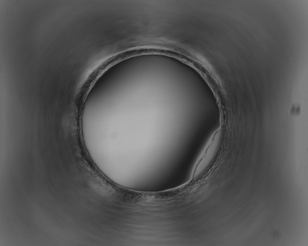 X0000091171360200708231455