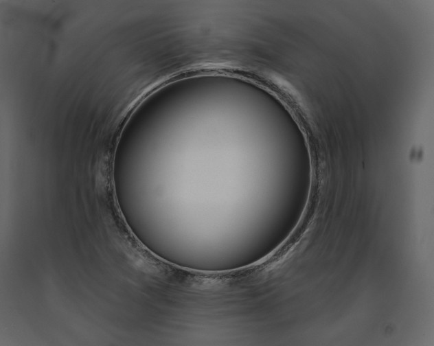 X0000091171361200708231455