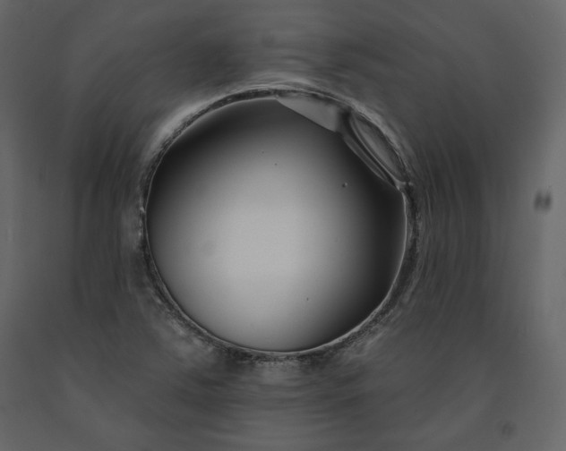 X0000091171363200708231455