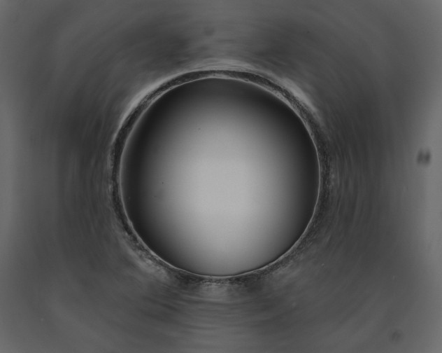 X0000091171364200708231455