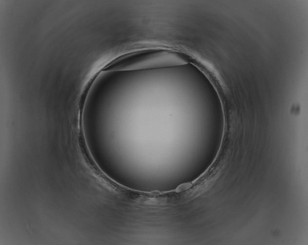 X0000091171365200708231455